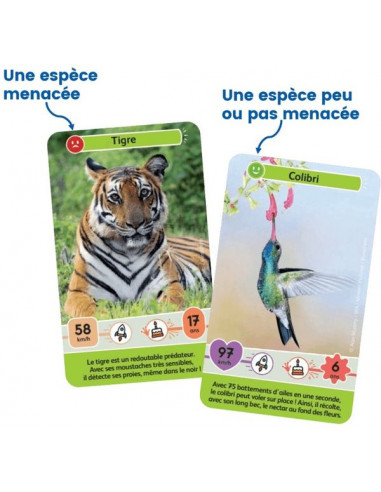 Défis nature junior Mystères de la... Défis nature junior Mystères de la...