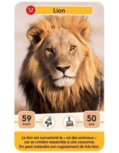 Défis nature junior Rois de la savane... Défis nature junior Rois de la savane...