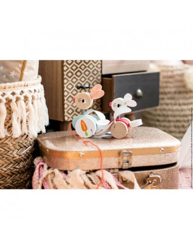 Lapins à promener zigolos - Janod Lapins à promener zigolos - Janod