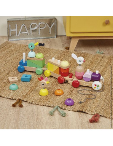 Train géant multicolore zigolos - Janod Train géant multicolore zigolos - Janod