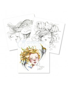 Carnet de coloriage Wild 7  Avenue mandarine