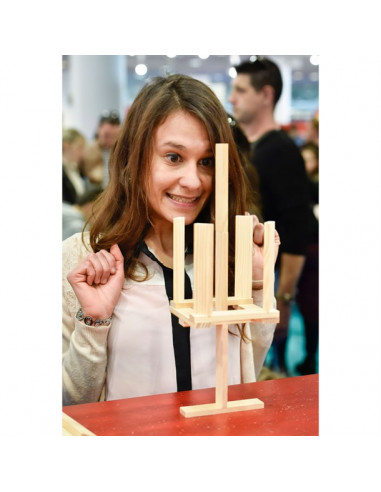 Kapla défi Kapla défi