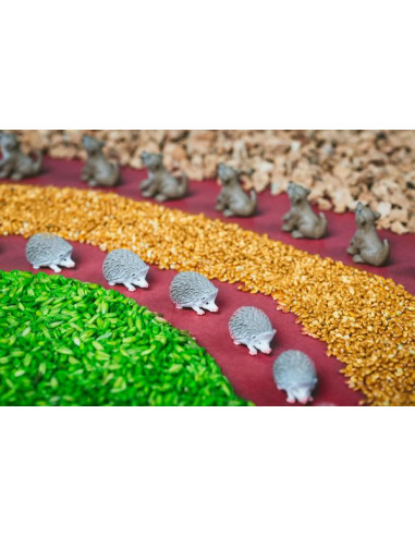 Bouteille sensorielle forêt - Petit Boum Bouteille sensorielle forêt - Petit Boum