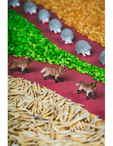 Bouteille sensorielle forêt - Petit Boum Bouteille sensorielle forêt - Petit Boum