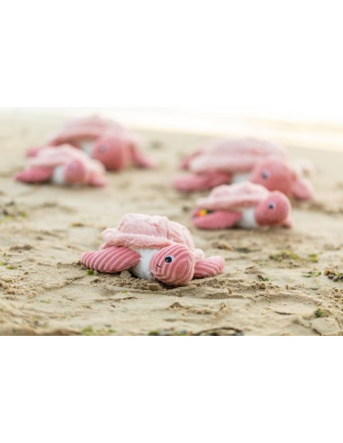 Sauvenou la tortue rose - Les... Sauvenou la tortue rose - Les...