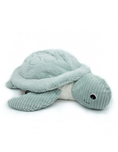 Sauvenou la tortue géante menthe -... Sauvenou la tortue géante menthe -...