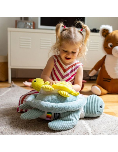 Sauvenou la tortue géante menthe -... Sauvenou la tortue géante menthe -...