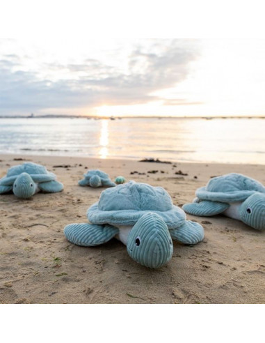 Sauvenou la tortue géante menthe -... Sauvenou la tortue géante menthe -...