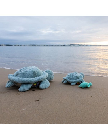 Sauvenou la tortue géante menthe -... Sauvenou la tortue géante menthe -...