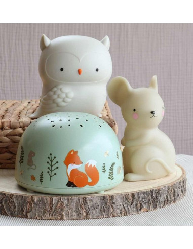 Projecteur d'étoiles amis de la forêt... Projecteur d'étoiles amis de la forêt...