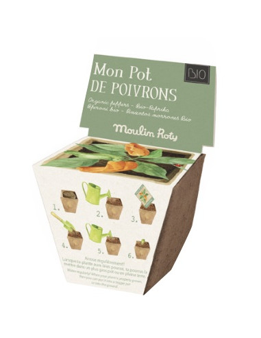 Pot de graines poivron le jardin du...