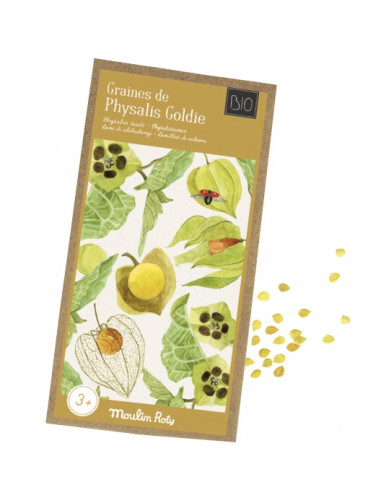 Graines de physalis le jardin du... Graines de physalis le jardin du...