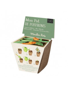 Pot de graines poivron le... 2