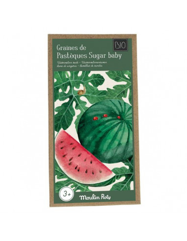Graines de pastèque le jardin du...