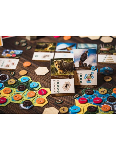 Jeu Cascadia Jeu Cascadia