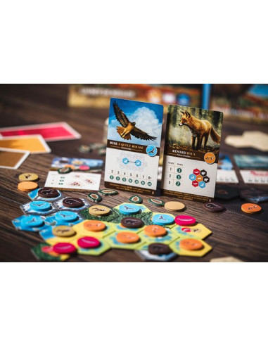 Jeu Cascadia Jeu Cascadia