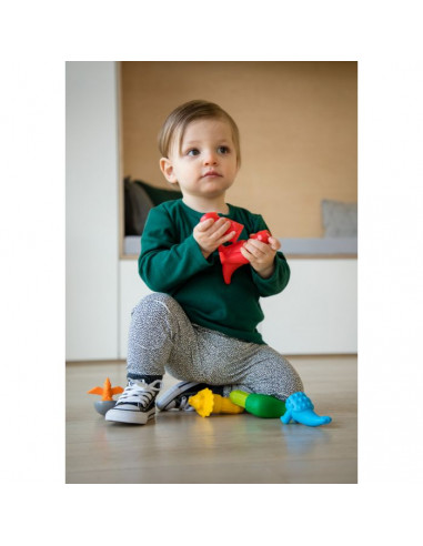 Mes premiers dinosaures - SmartMax Mes premiers dinosaures - SmartMax