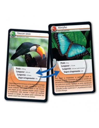 Défis nature Animaux inspirants -... Défis nature Animaux inspirants -...