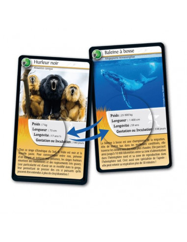 Défis nature Records des animaux -... Défis nature Records des animaux -...