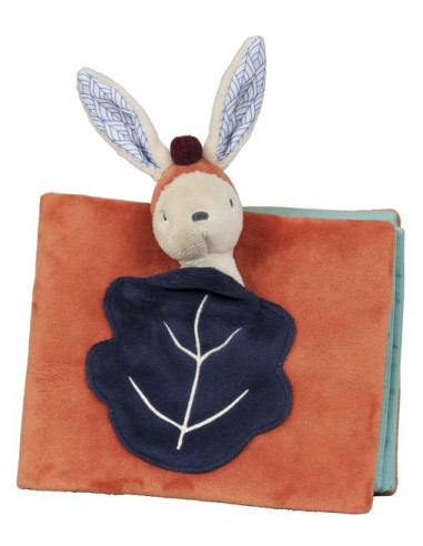 Album photo Gabin Lapin - Ebulobo