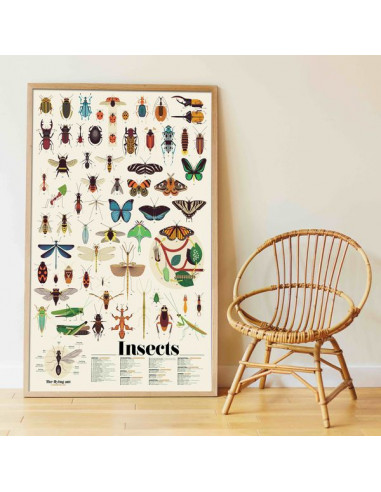 Poster en stickers insectes - Poppik Poster en stickers insectes - Poppik