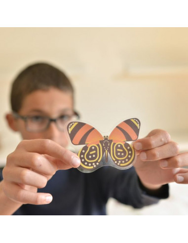 Poster en stickers insectes - Poppik Poster en stickers insectes - Poppik