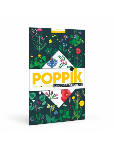 Poster en stickers Botanique - Poppik