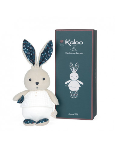 un petit lapin sur le chemin rencontre un autre petit lapin