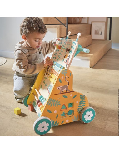 Chariot de marche multi activités... Chariot de marche multi activités...