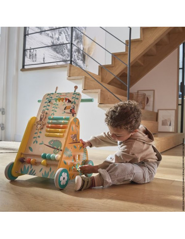 Chariot de marche multi activités... Chariot de marche multi activités...