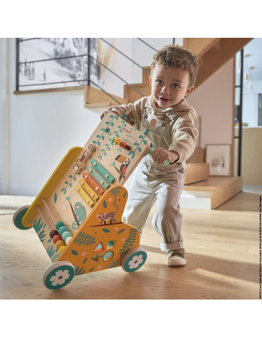 Chariot de marche multi activités... Chariot de marche multi activités...