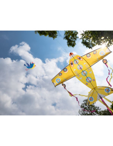 Cerf-volant maxi plane - Djeco Cerf-volant maxi plane - Djeco