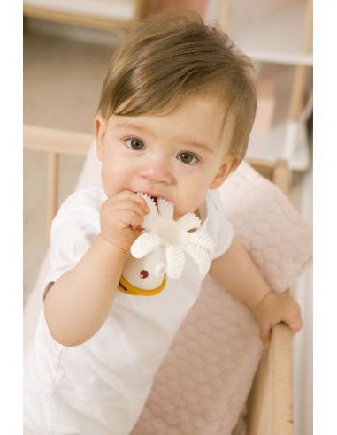 Jouet de dentition Bonnie la pieuvre... Jouet de dentition Bonnie la pieuvre...