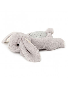 Veilleuse à projections...