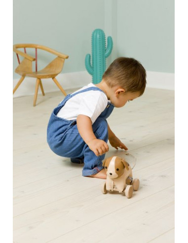 Adrien le chien à tirer - Little Big... Adrien le chien à tirer - Little Big...