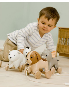 Adrien le chien à tirer -... 2