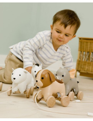 Adrien le chien à tirer - Little Big... Adrien le chien à tirer - Little Big...