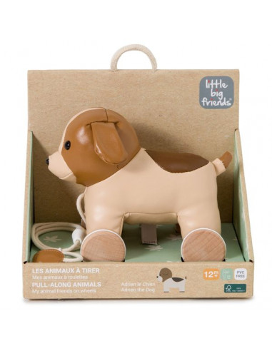 Adrien le chien à tirer - Little Big... Adrien le chien à tirer - Little Big...