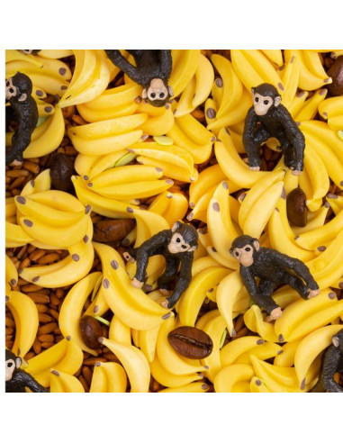 Bouteille sensorielle Singe - Petit Boum Bouteille sensorielle Singe - Petit Boum