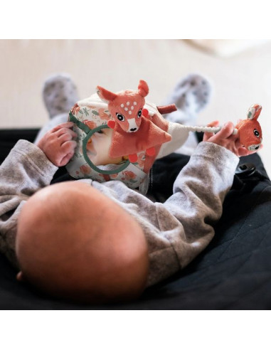 Cube d'activités Melimelos la biche -... Cube d'activités Melimelos la biche -...