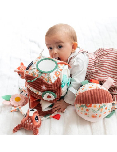 Cube d'activités Melimelos la biche -... Cube d'activités Melimelos la biche -...