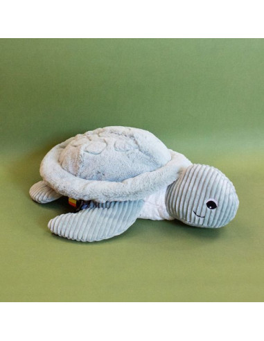 Sauvenou la tortue géante menthe -... Sauvenou la tortue géante menthe -...
