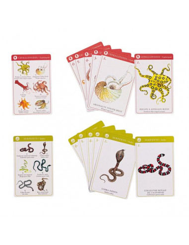 Jeu de 7 familles des espèces Tout... Jeu de 7 familles des espèces Tout...