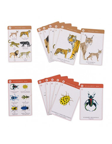 Jeu de 7 familles des espèces Tout... Jeu de 7 familles des espèces Tout...