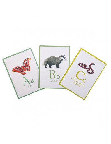 Cartes d'apprentissage pour bébé, 36 pièces, cartes Flash