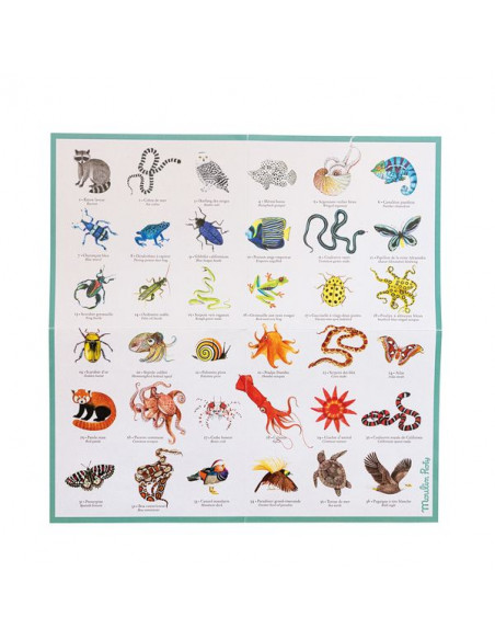 Memory Animaux 30 cartes géantes XXL - Jeu plein air