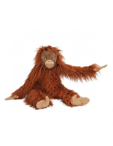 Grand orang-outan Tout autour du... Grand orang-outan Tout autour du...