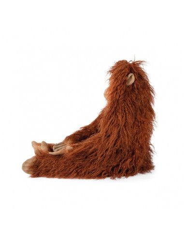 Grand orang-outan Tout autour du... Grand orang-outan Tout autour du...