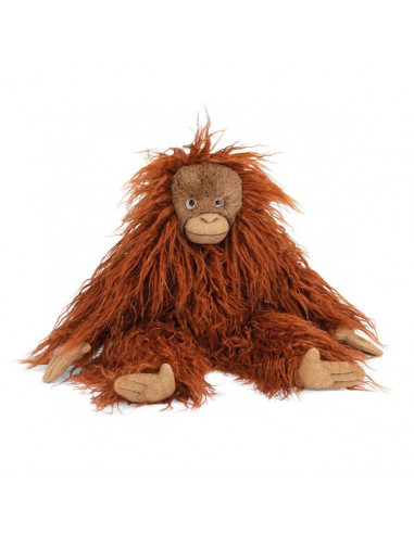 Petit orang-outan Tout autour du... Petit orang-outan Tout autour du...