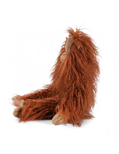 Petit orang-outan Tout autour du... Petit orang-outan Tout autour du...